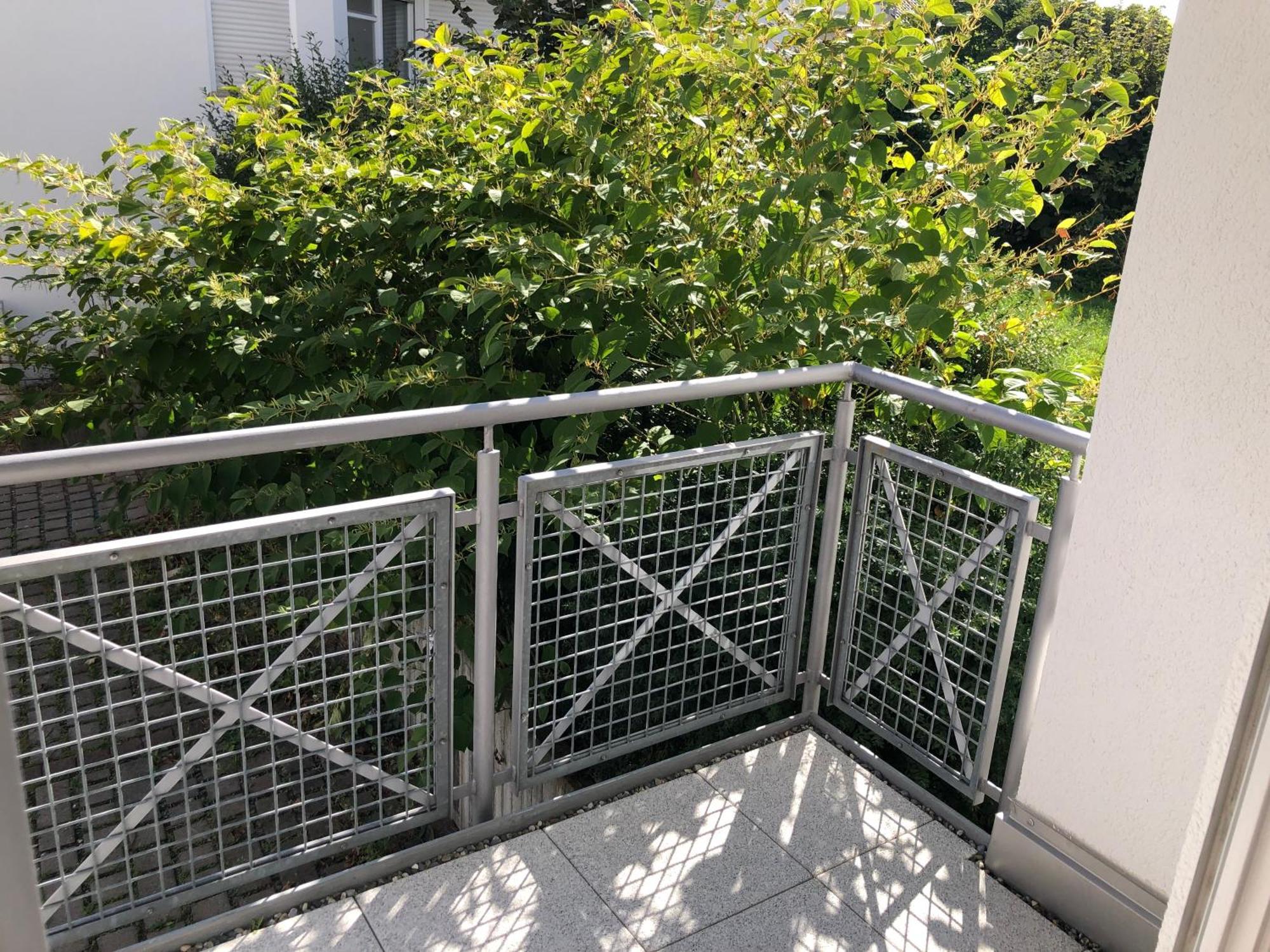 Luxliv Apartements Balingen Bagian luar foto